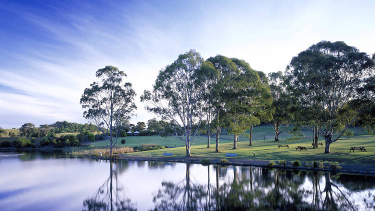 Australian Botanic Gardens 