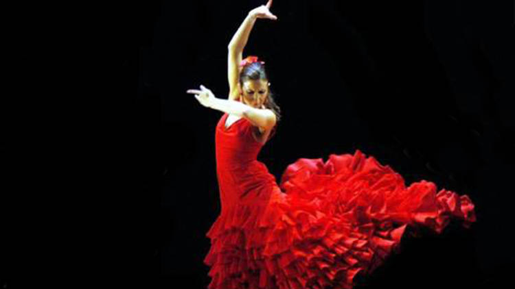 Flamenco