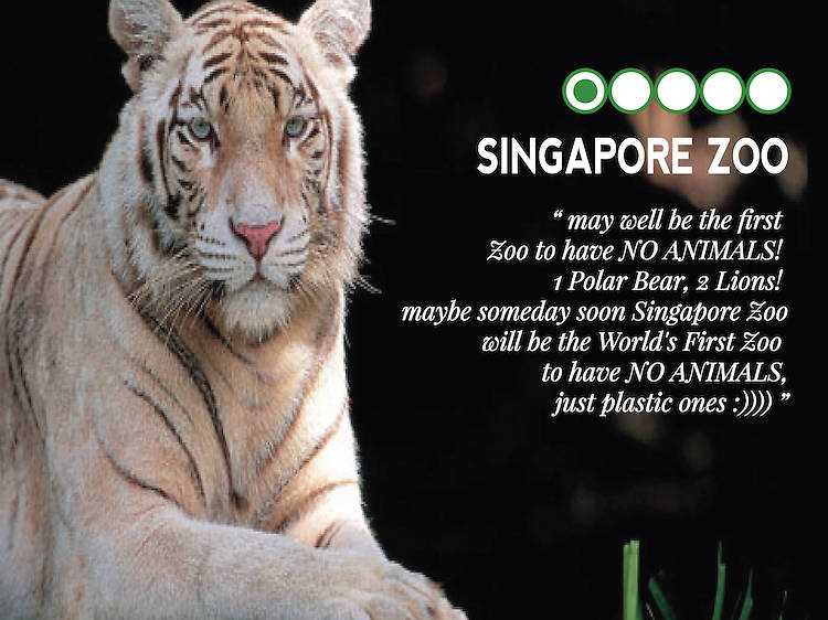 Singapore Zoo