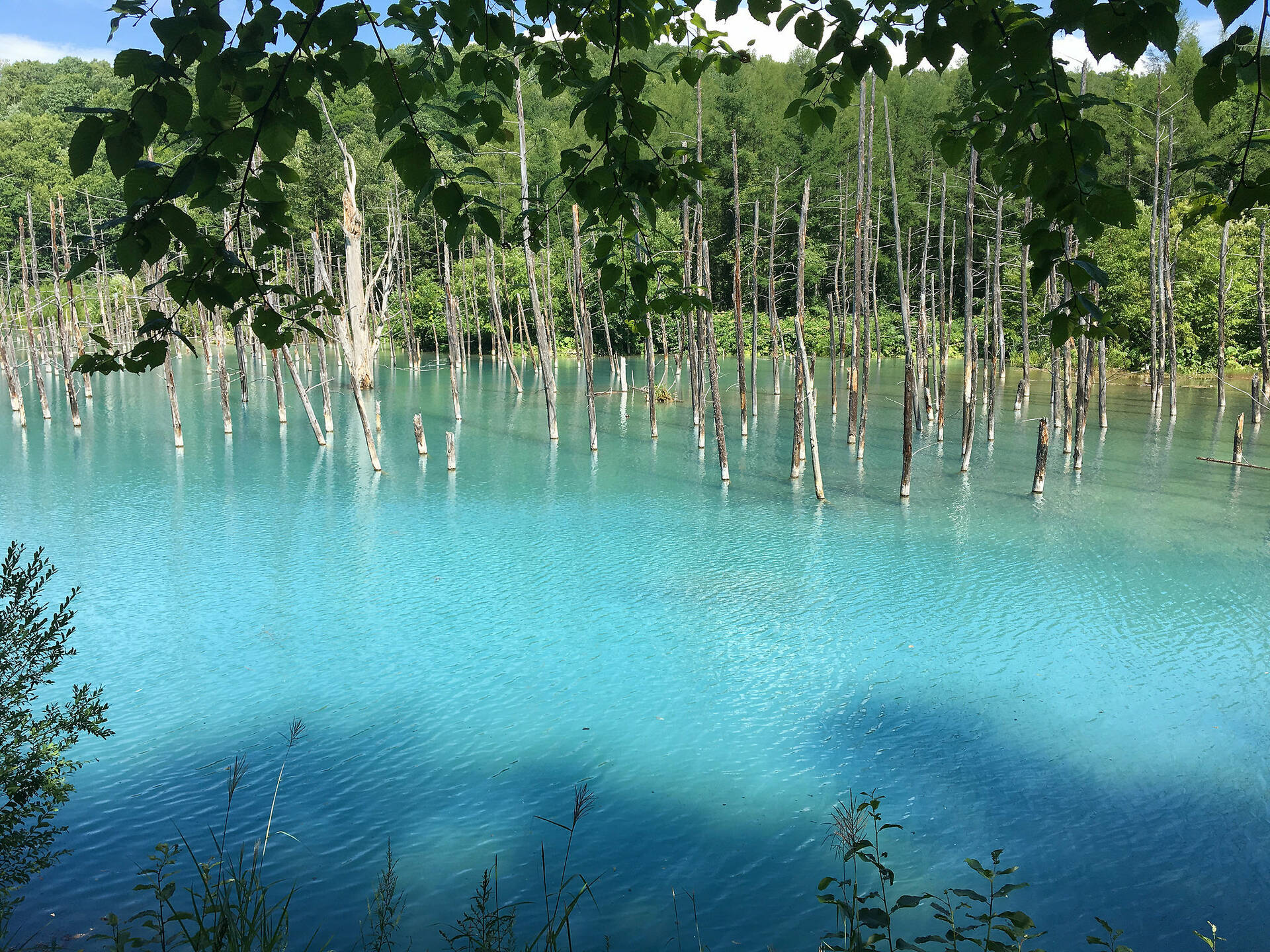 TOP 15 THINGS TO DO IN JAPAN visual data 3