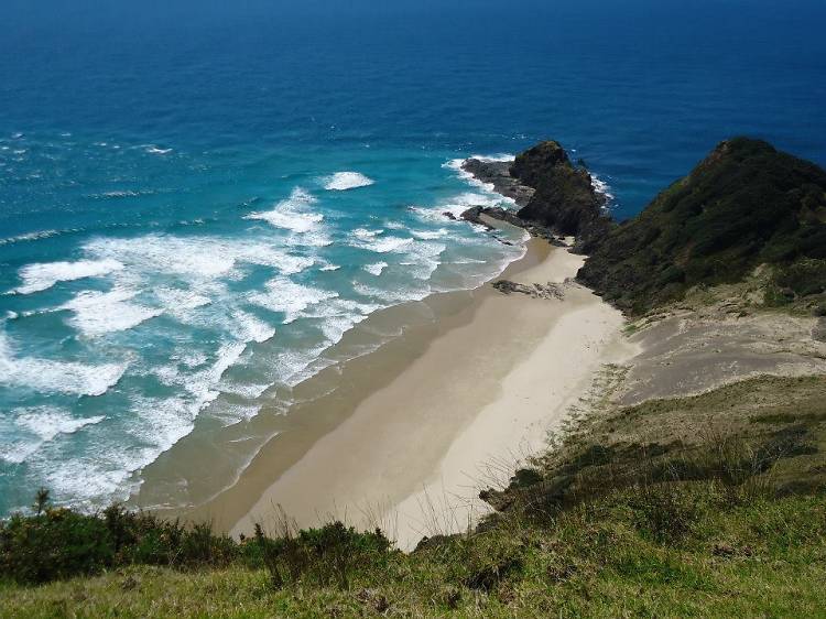 Sail a tall ship around the Bay of Islands