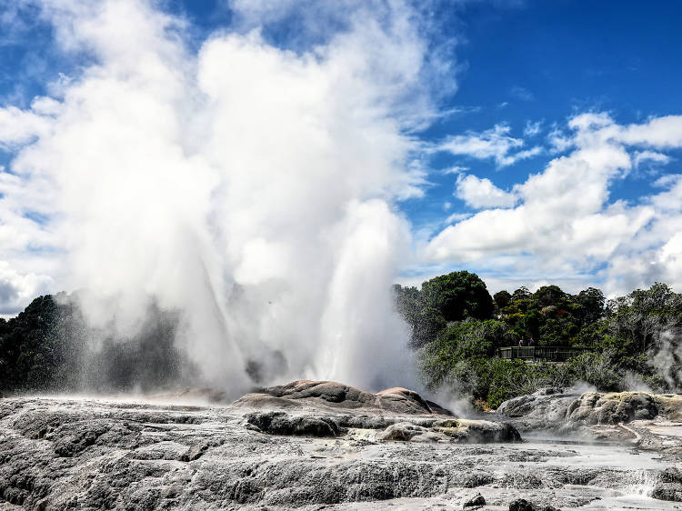 See the Southern Hemisphere’s largest active geyser