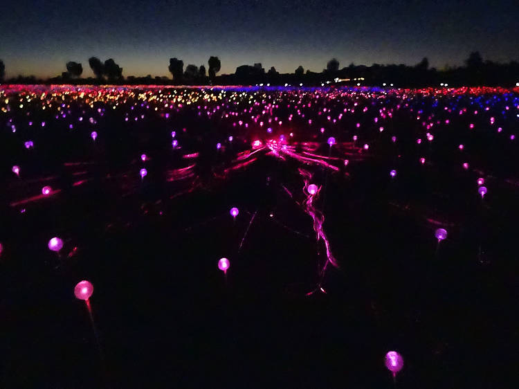 See the spectacular Field of Light Uluru installation at Ayers Rock Resort