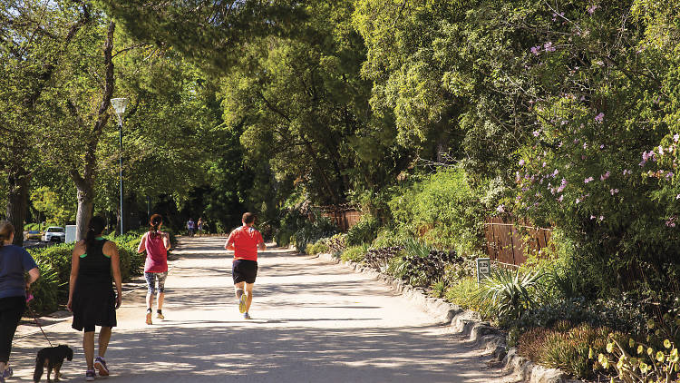 Go for a run around the Tan