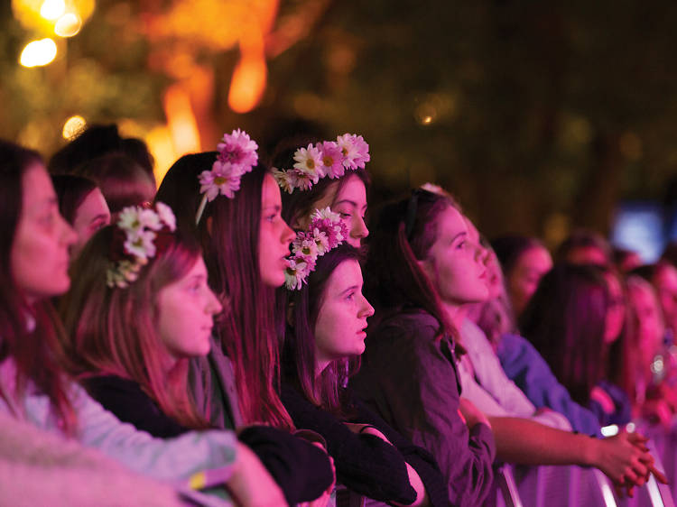 Spring festivals and events in Queensland