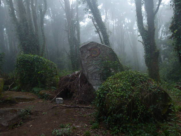 bosque dos druidas bosque dos druidas