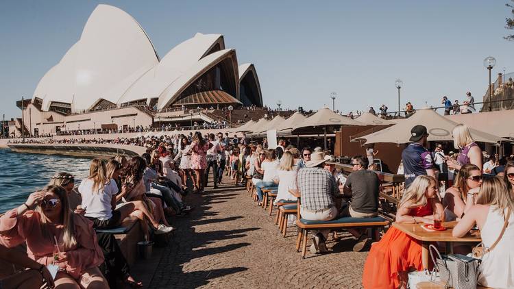 People sitting in sun at Opera Bar Rose Festival