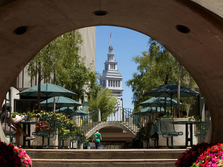 Forage for fresh produce at the Ferry Building