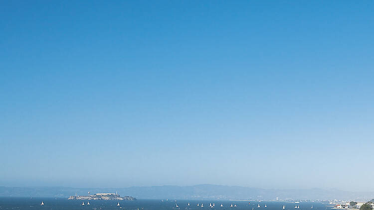 Picnic in the Presidio