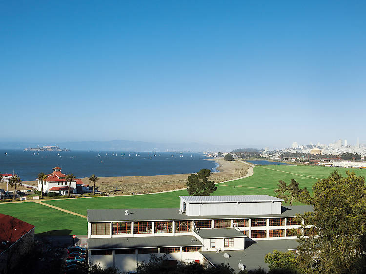 Picnic in the Presidio