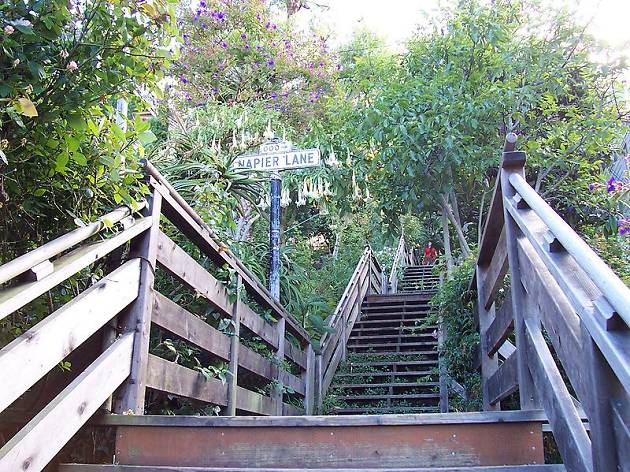 Filbert St steps Filbert St steps