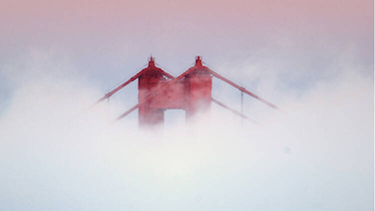 Frolic in the fog