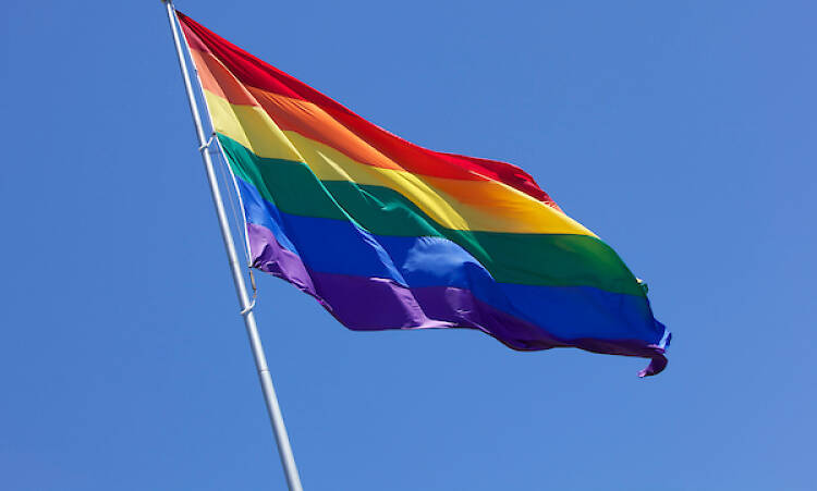 LGBT Rainbow Flag