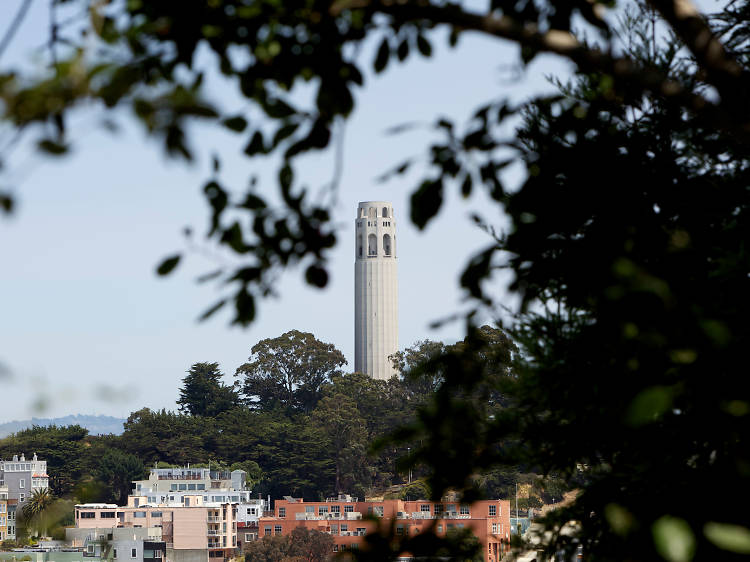 Admire the view from Coit Tower