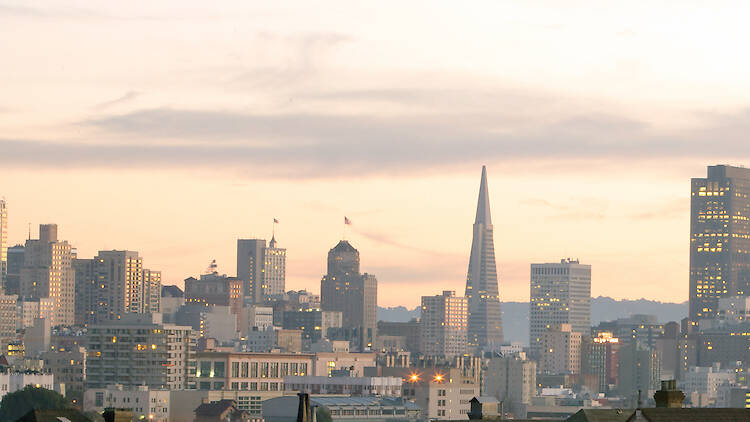 Admire the city’s Painted Ladies