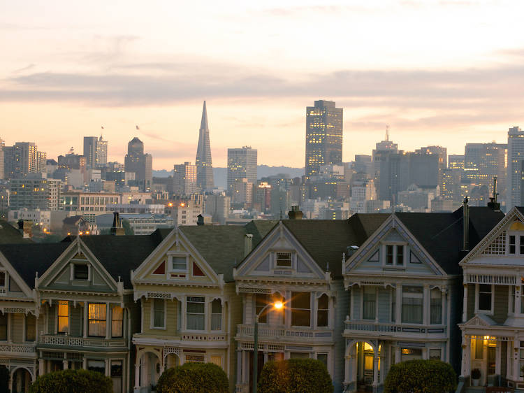 Admire the city’s Painted Ladies