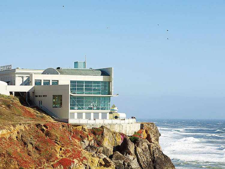 Brunch overlooking the Pacific