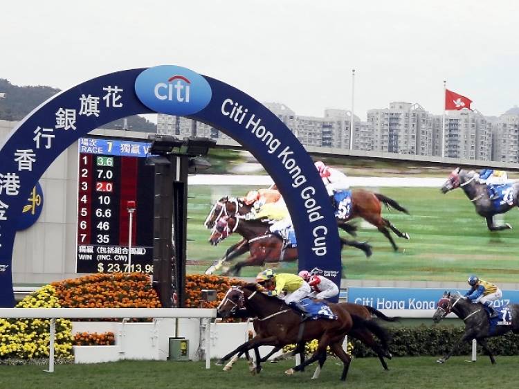 The Citi Hong Kong Gold Cup