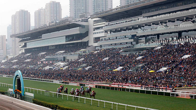 Lucky Start January 1 Race Meeting