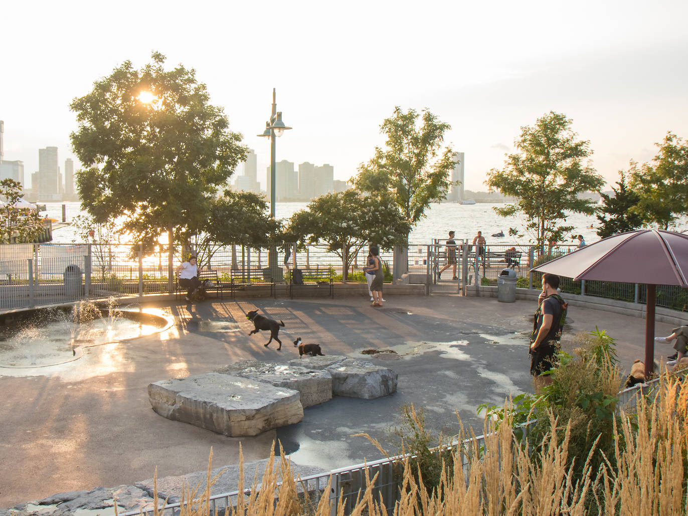17 Best Dog Parks in New York City