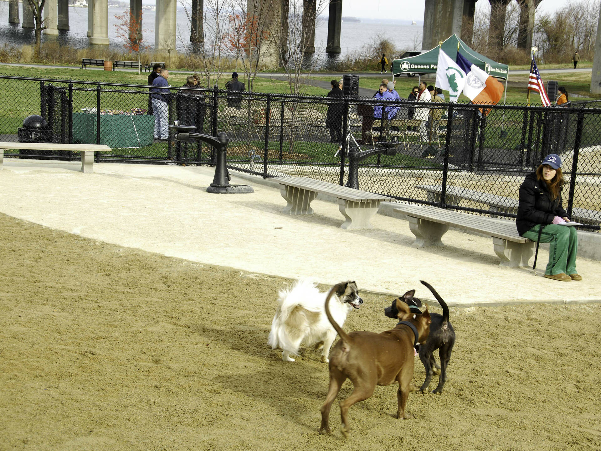 17 Best Dog Parks in New York City