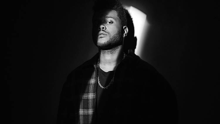 the weeknd facebook banners