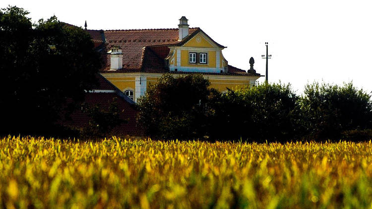 Quinta da Lagoalva de Cima