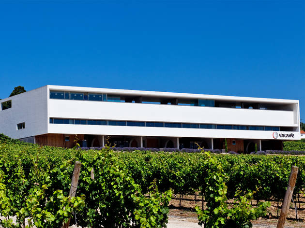 Adega Mãe Adega Mãe