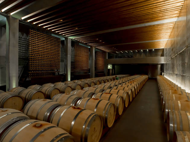 Adega Mãe Adega Mãe