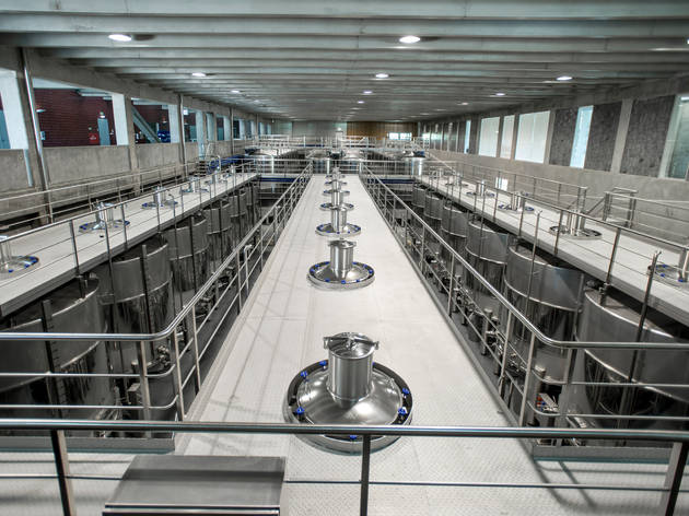 Adega Mãe Adega Mãe