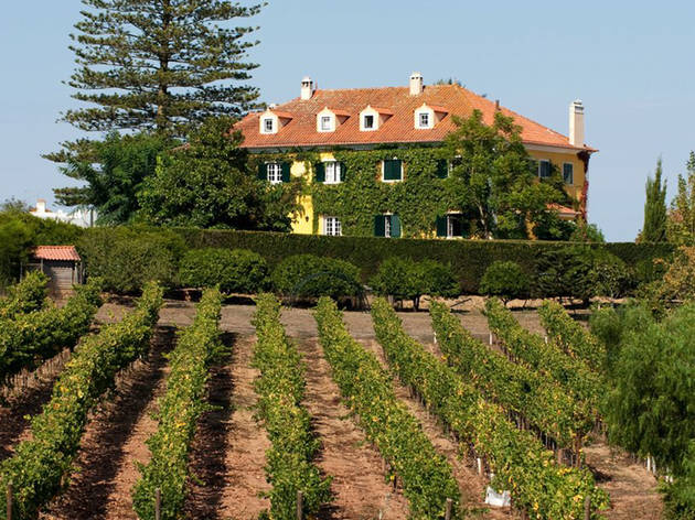 Quinta de Sant'Ana