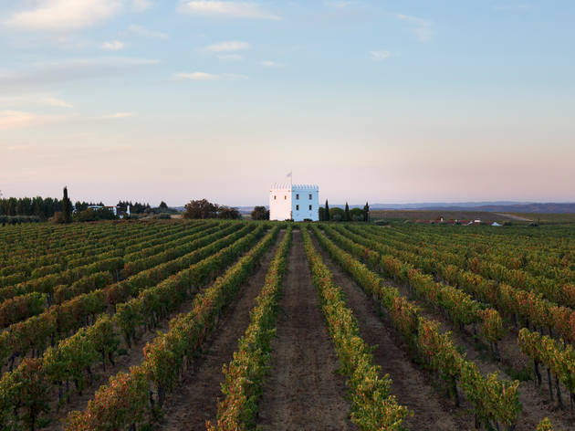 Escapadinhas: sete sugestões de enoturismo no Alentejo Escapadinhas: sete sugestões de enoturismo no Alentejo