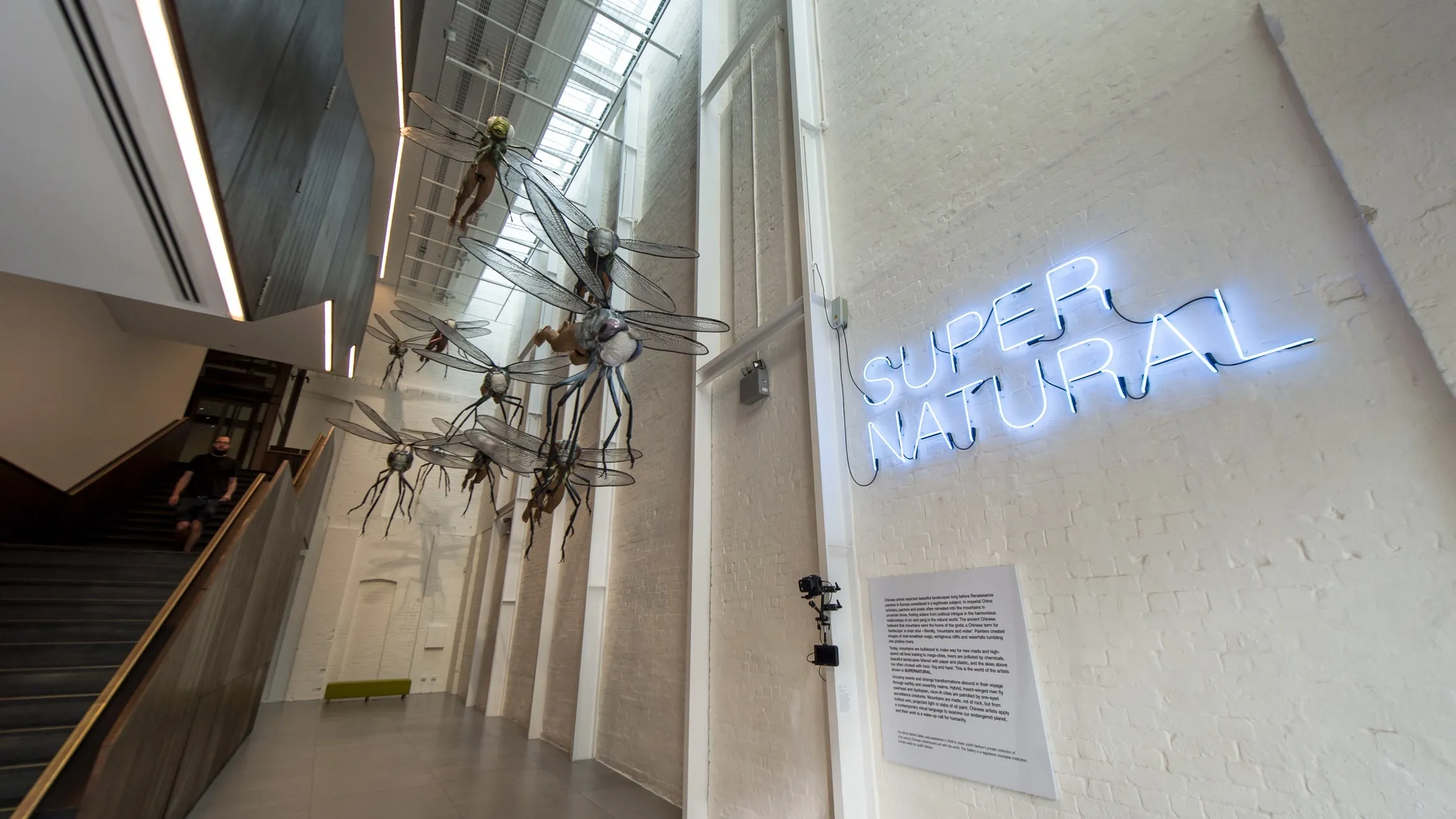 White Rabbit Gallery