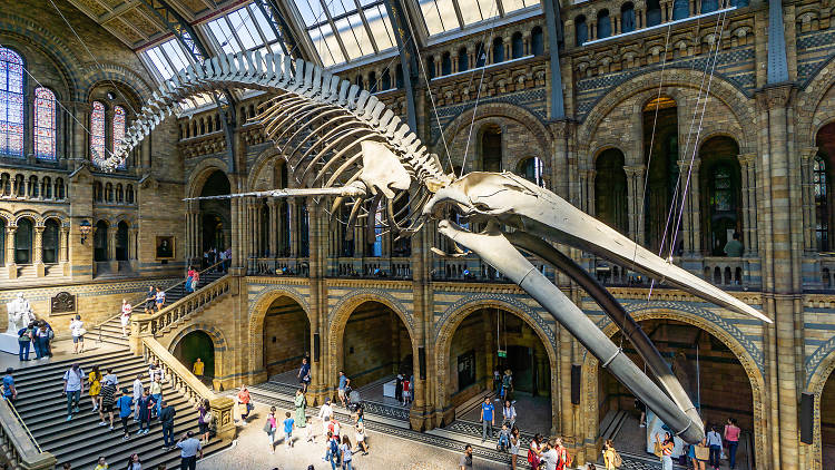 Natural History Museum