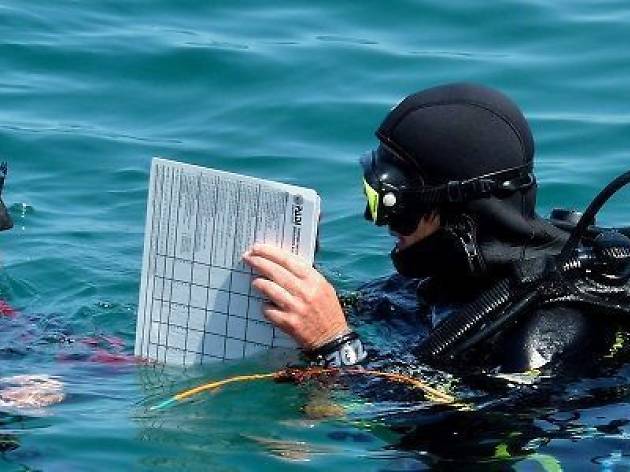 ZOEA cursos submarinismo ZOEA cursos submarinismo