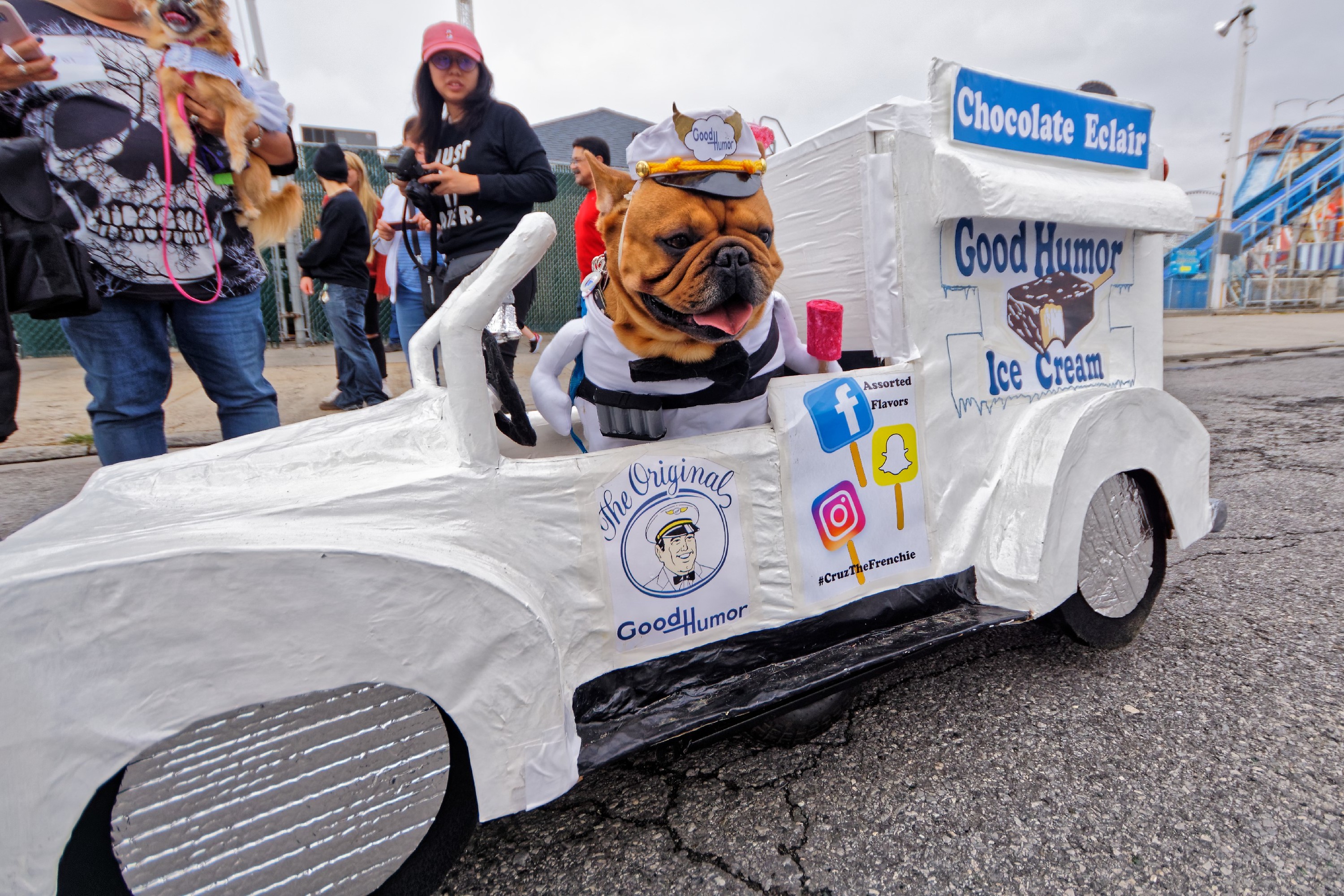 Luna Park Dog Parade Things to do in New York Kids