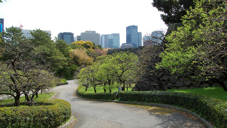 Imperial Palace Gardens 