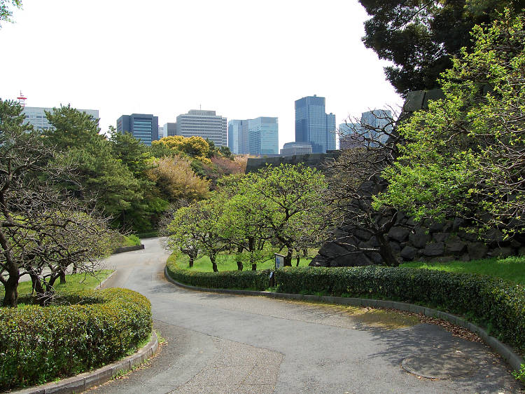 Imperial Palace Gardens 