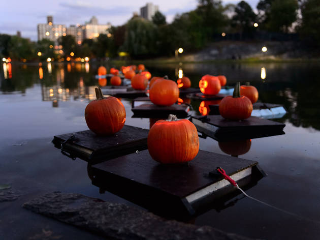 Halloween Pumpkin Flotilla Halloween Pumpkin Flotilla