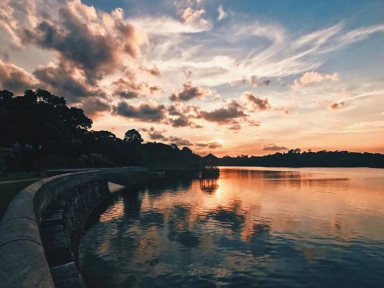 MacRitchie Reservoir