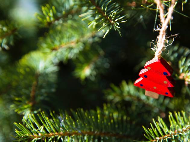 amazon can now deliver live christmas trees to your door for the holidays - How Long Do Live Christmas Trees Last amazon can now deliver live christmas trees to your door for the holidays - How Long Do Live Christmas Trees Last