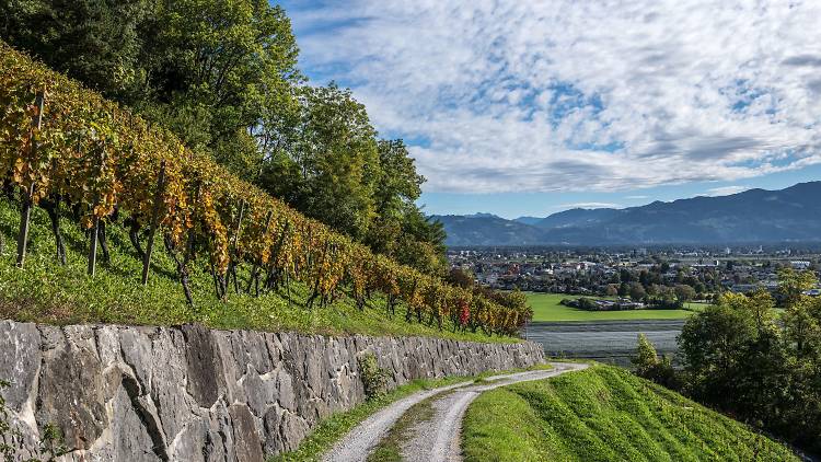 Take a wine hike