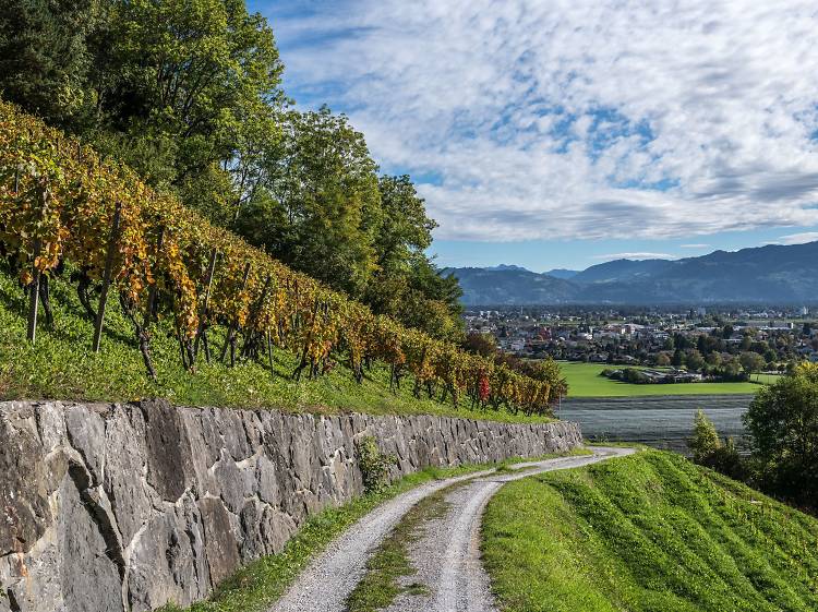 Take a wine hike