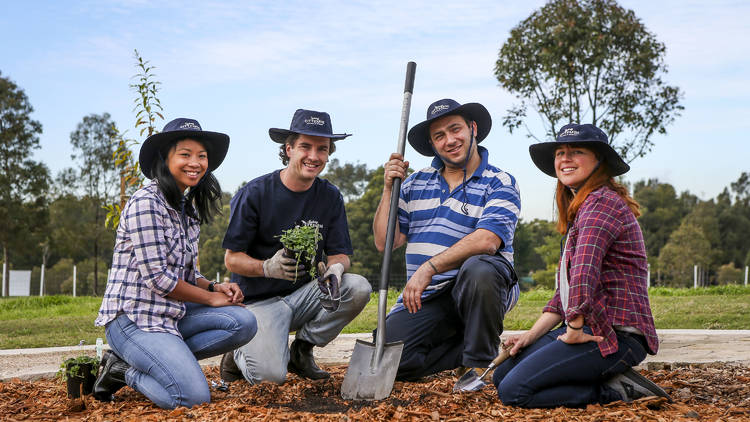 Sydney City Farm (Photograph: Supplied)