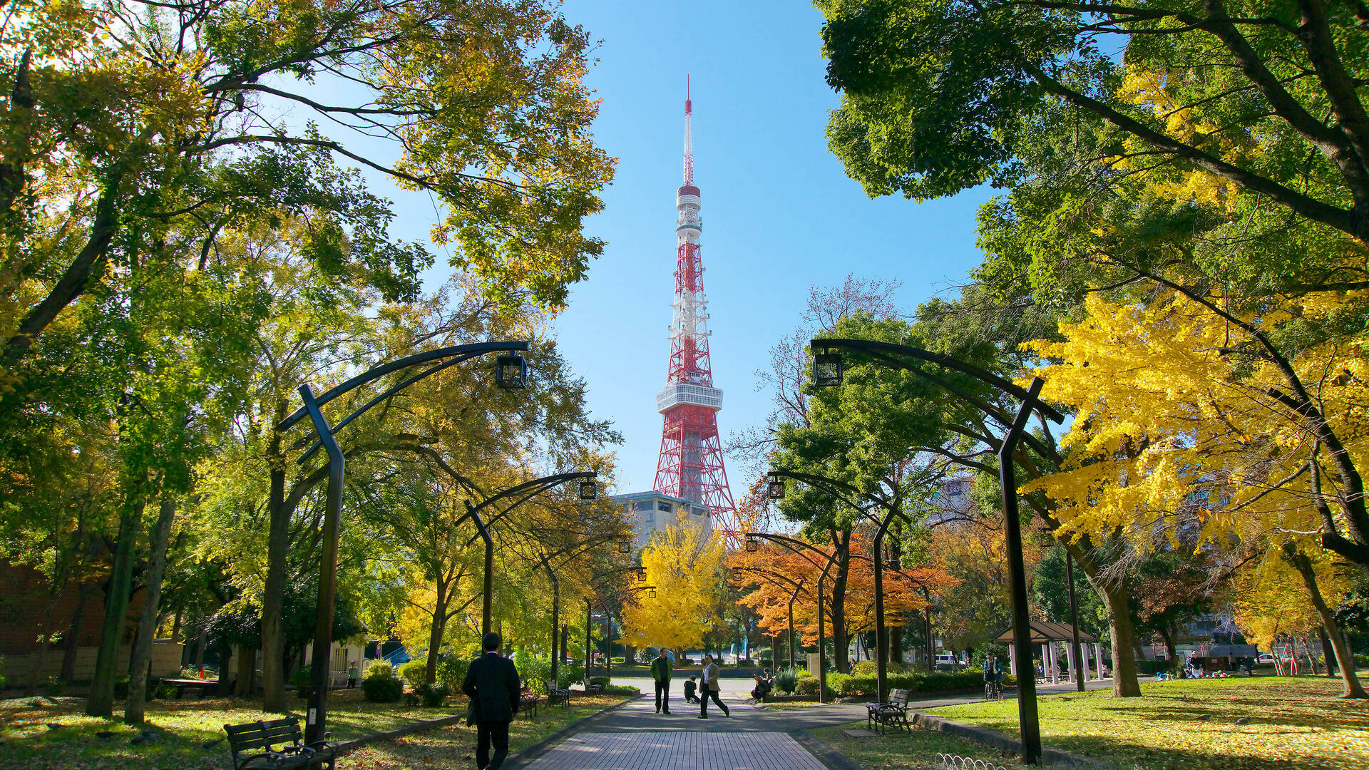 12 best things to do in Tokyo this summer