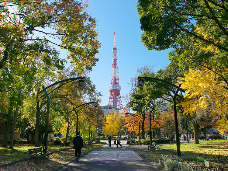 Picnic below the Tokyo Tower