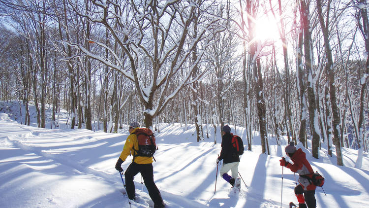 Snow trekking around Lake Tazawa