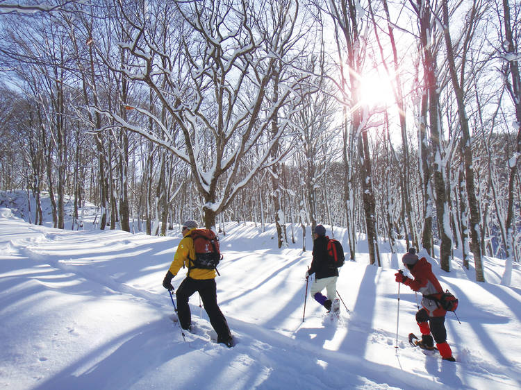 Snow trekking around Lake Tazawa