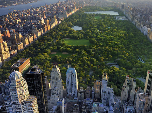 NY NY