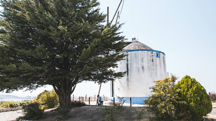 Monsanto - Moinho do Penedo